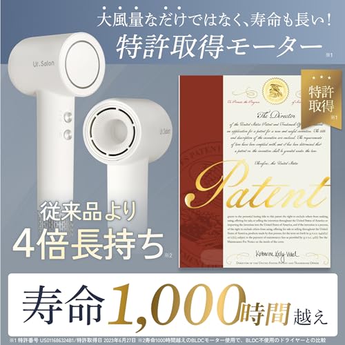 UR.SALON - プレミアム ビューティ ドライヤー 02 の評価